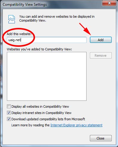 Compatibility View